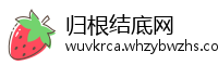 归根结底网